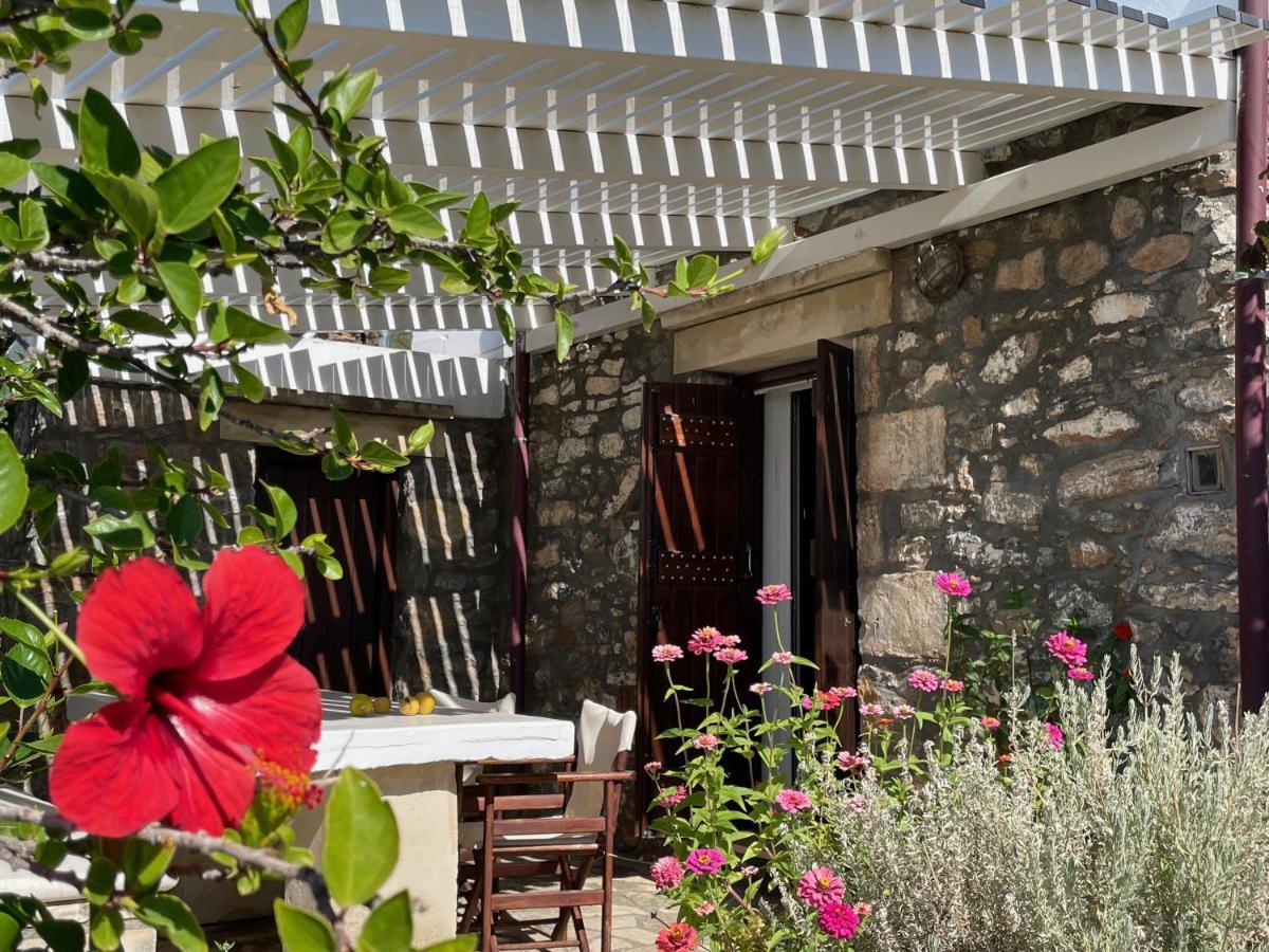 פלאקיאס Villa La Familia Maison Traditionnelle מראה חיצוני תמונה